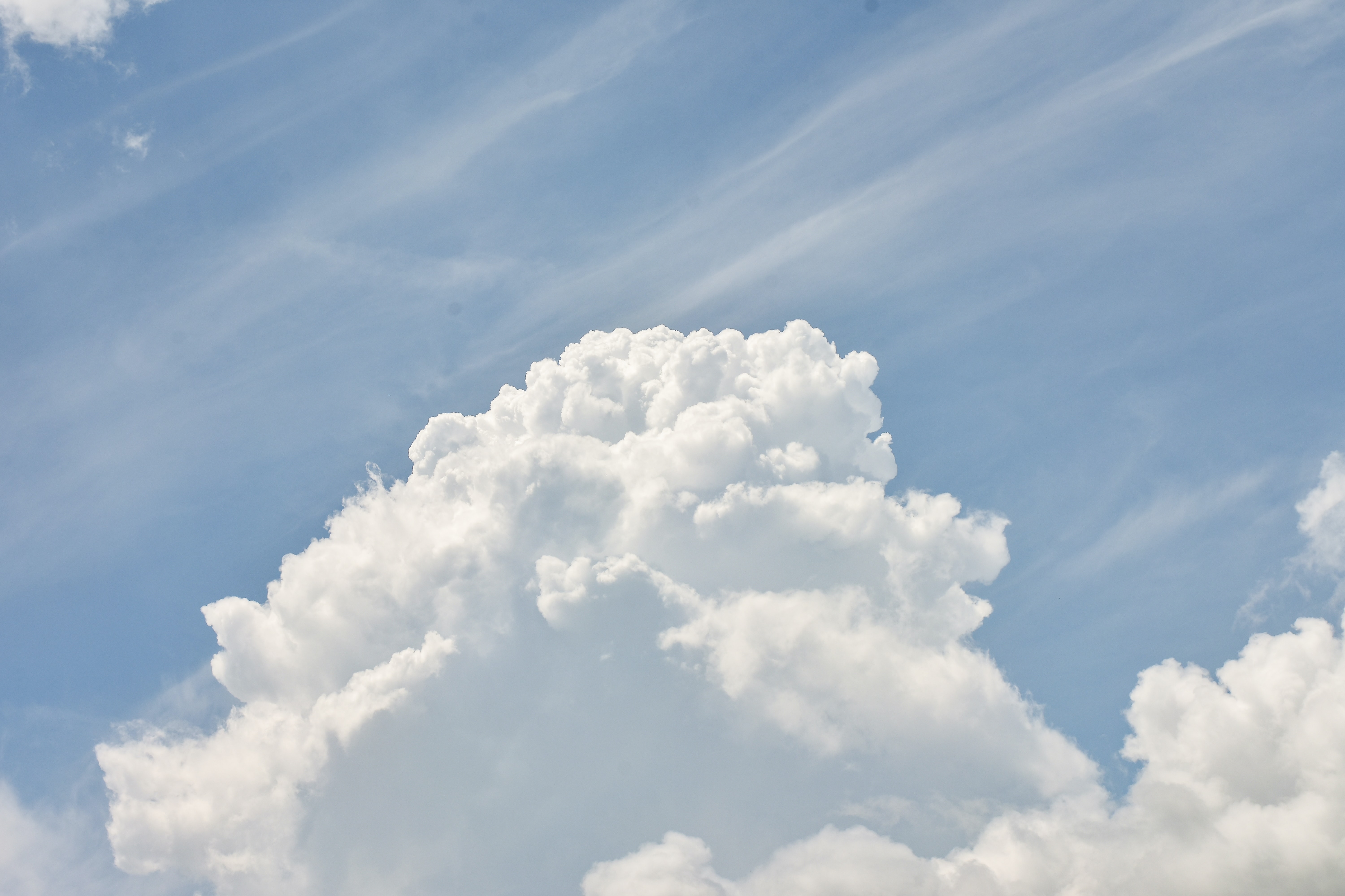 Understanding the Role of Cloud Service Providers in the Modern Marketplace